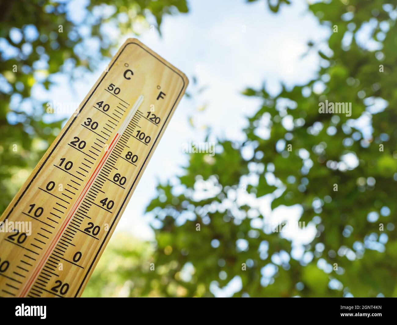 Wooden thermometer with red measuring liquid showing high temperature over  34 degrees Celsius on sunny day in shadow of trees. Concept of heat wave, w  Stock Photo - Alamy