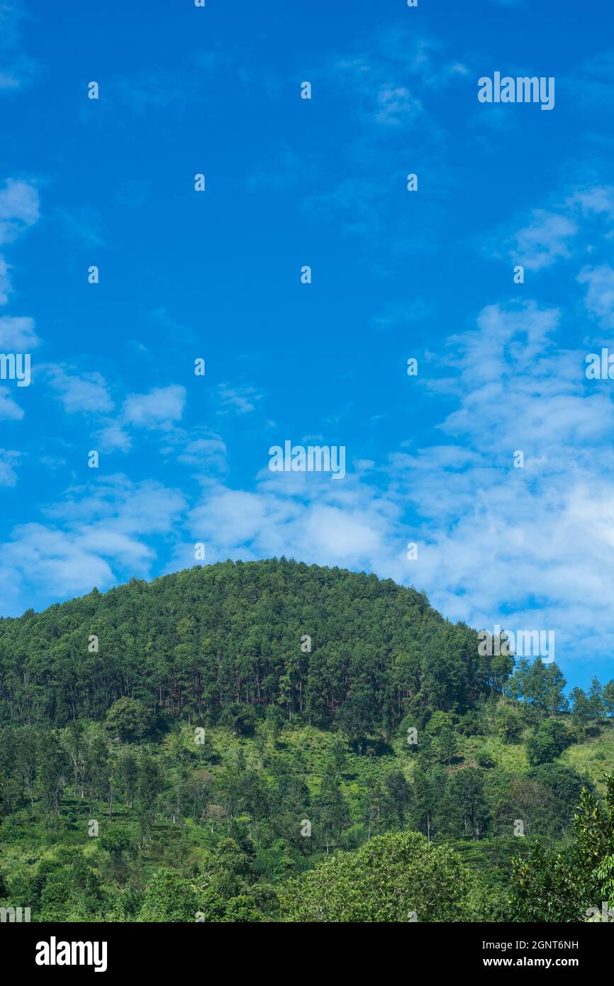 mountain with trees with blue sky and clouds, on a clear sunny day ...