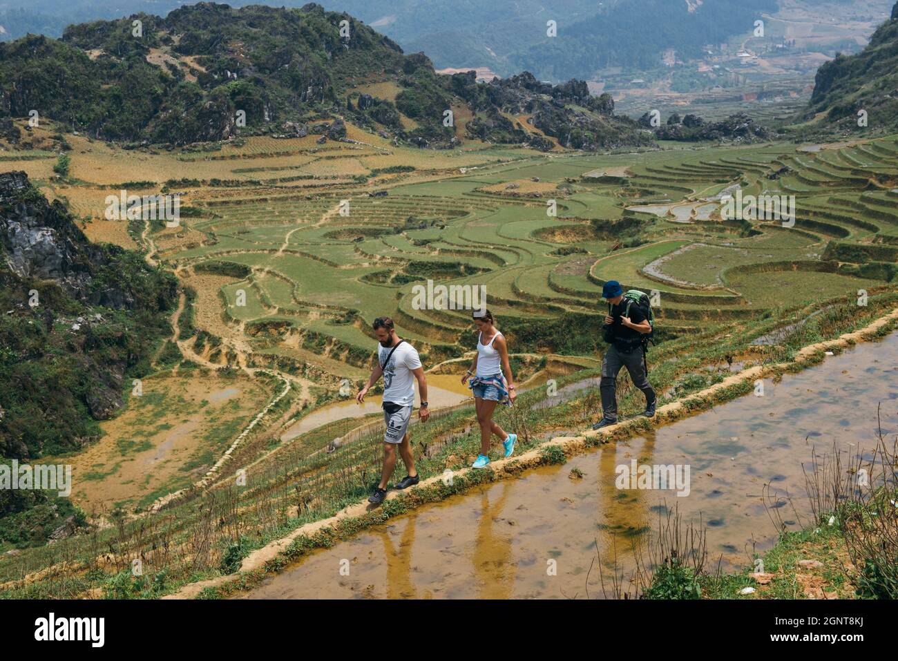 Tourists hiking in the mountains with backpack near rice terraces in Sapa, Vietnam. Reflection of people at paddy fields during the walking tour. Stock Photo