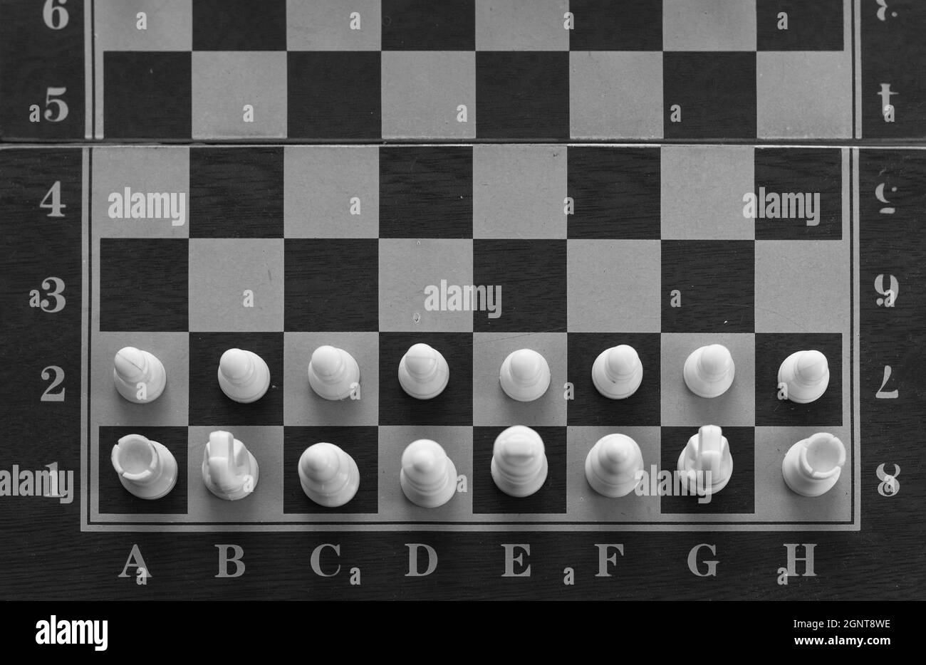 Use Creatica Chess Game Analyzer