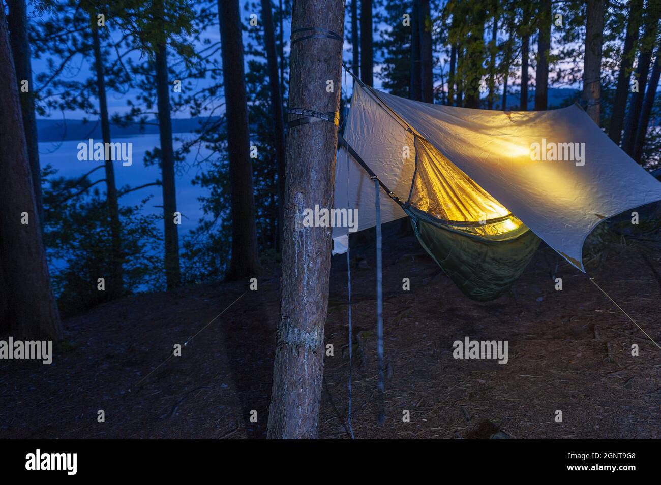 Camping tree hammock tent hanging in the forest by a lake at night