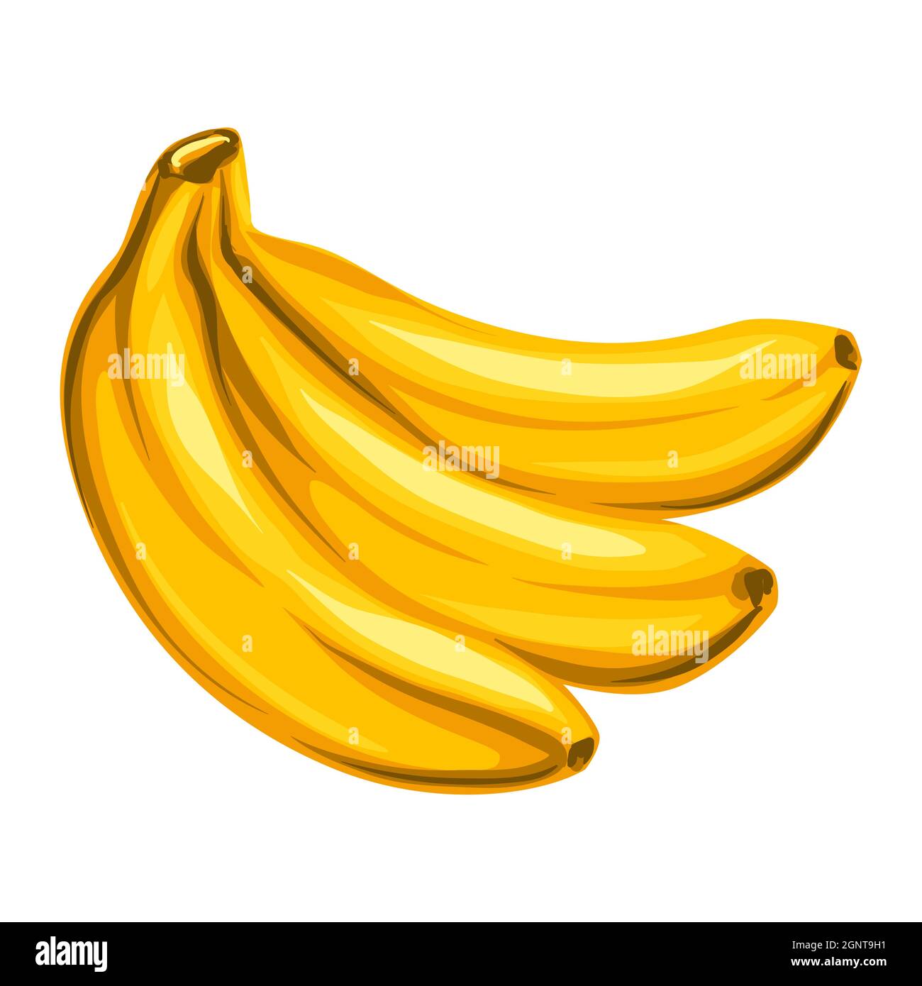 Stylized illustration of bananas. Image for design or decoration. Stock Vector