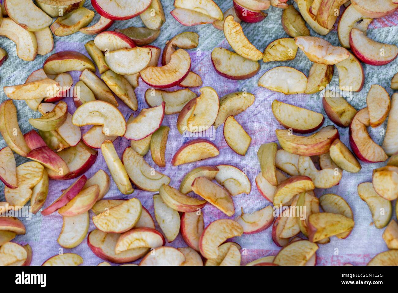 drying apples on a flat surface, dried fruit in the sun Stock Photo Alamy