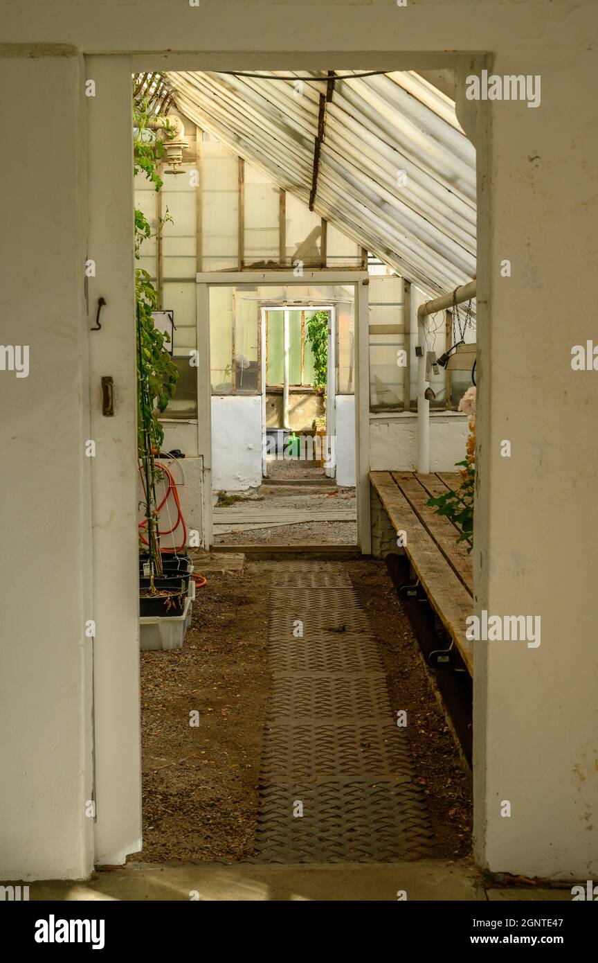 Three rooms in a row in an old, large greenhouse in Telemark county, Norway. Stock Photo