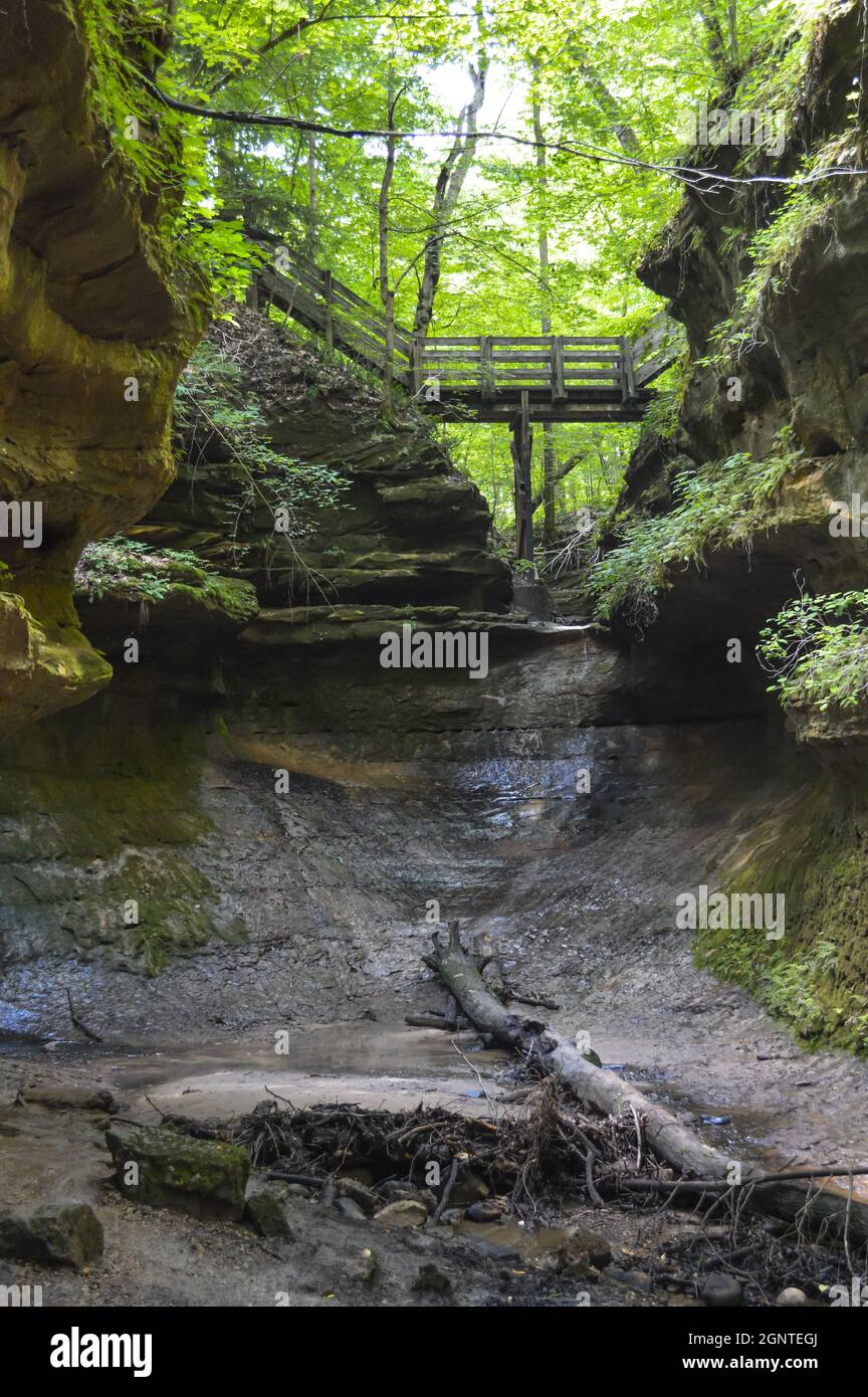 Bridge Crossing a Stream in the Woods Stock Photo - Alamy