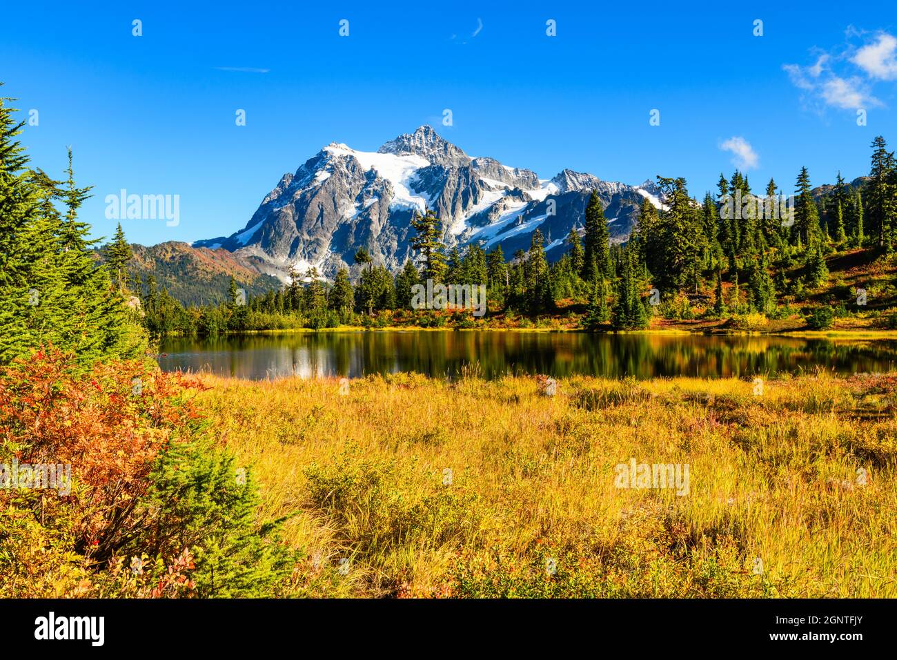 Mount Shuksan rising behind Picture Lake with a foreground of bright fall colors and under a blue sky Stock Photo