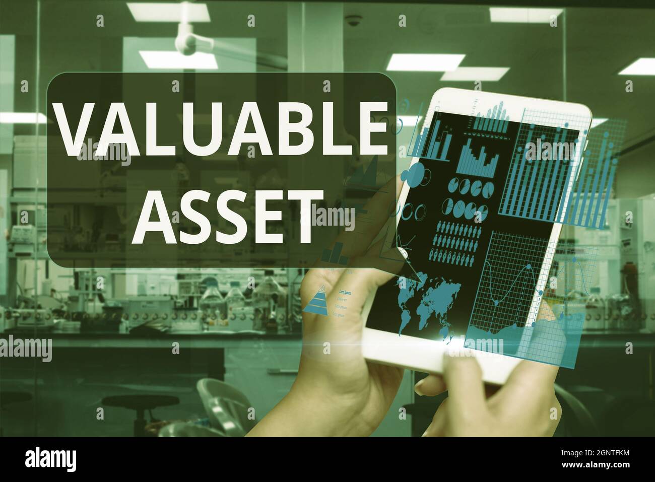 Conceptual caption Valuable Asset. Business overview Your most valuable
