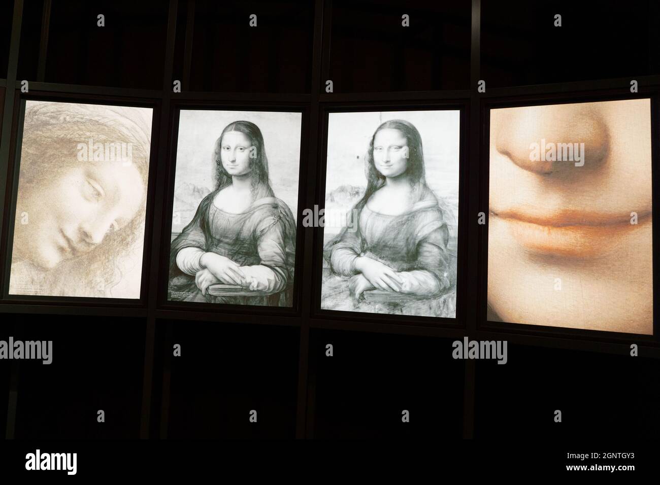 Paintings of Mona Lisa seen during the Presentation of the Exhibition of Leonardo Da Vinci at the Museo Nacional del Prado.The Museo Nacional del Prado is presenting the latest research on Leonardo's closest circle, Leonardo and the copy of the Mona Lisa. New approaches to the artist's studio practices is the first monographic exhibition in Spain to study the copies and versions made in Leonardo's studio during his lifetime, works that were based on the master's prototypes and authorized by him. On display at the Museo Nacional del Prado until 23 January in Room D of the Jerónimos Building, th Stock Photo