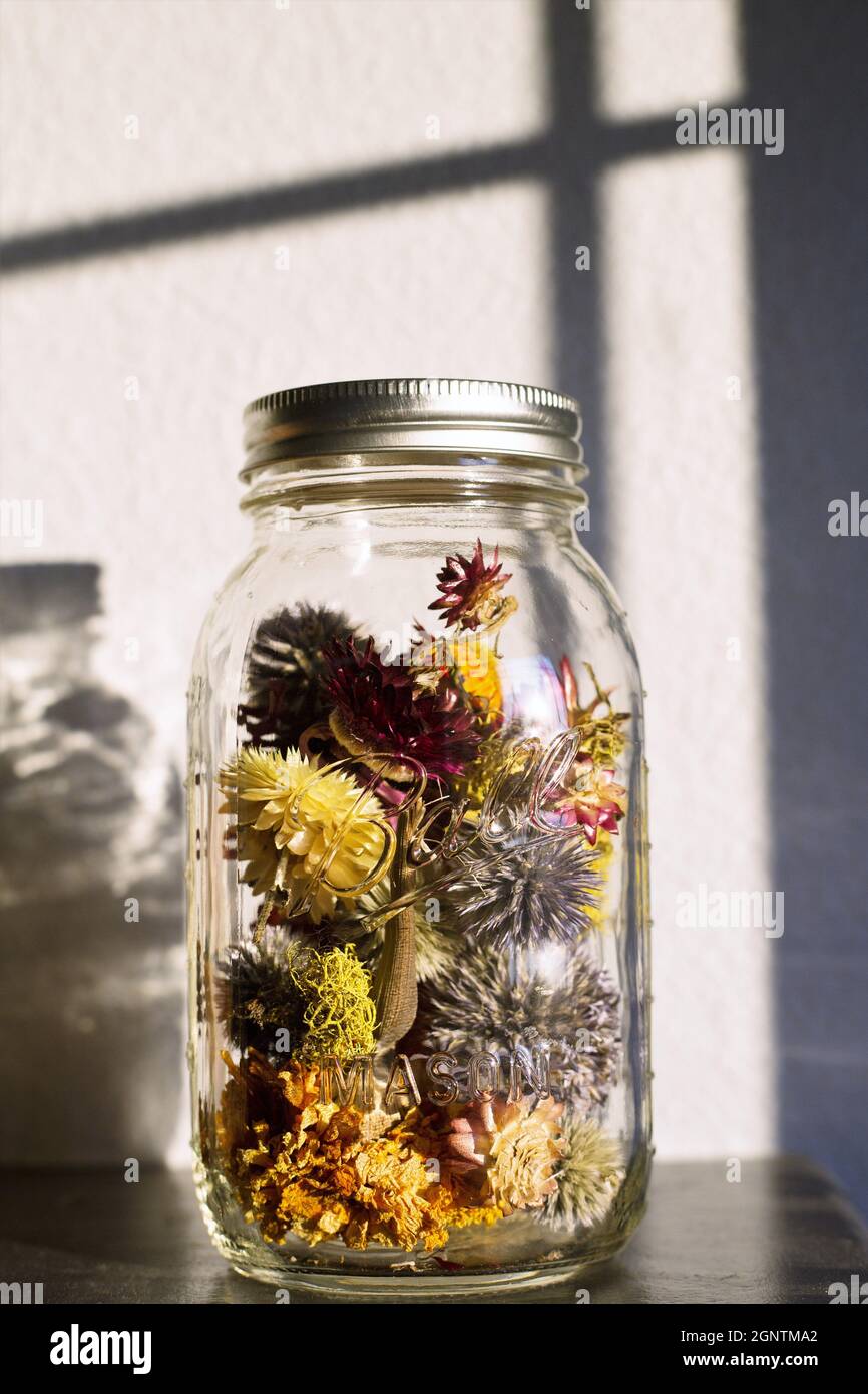 Colorful dry flowers in a mason jar Stock Photo Alamy