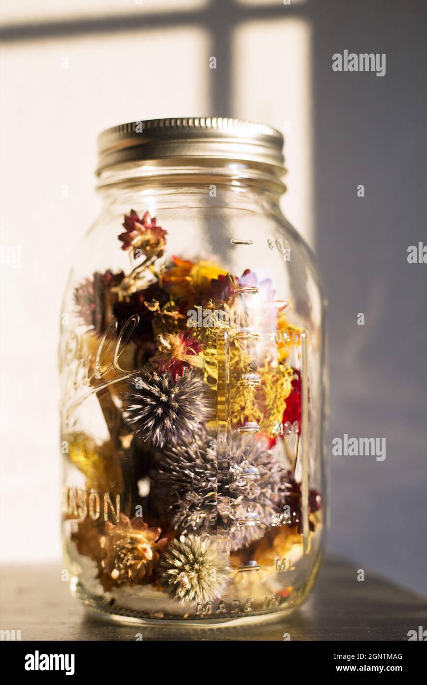 Colorful dry flowers in a mason jar Stock Photo Alamy
