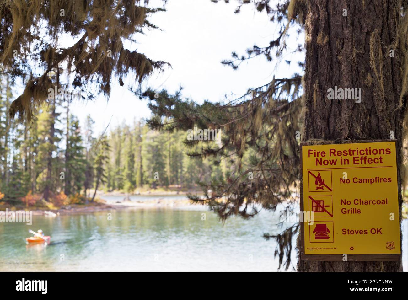 A sign warning of fire restrictions on a tree next to Waldo Lake near