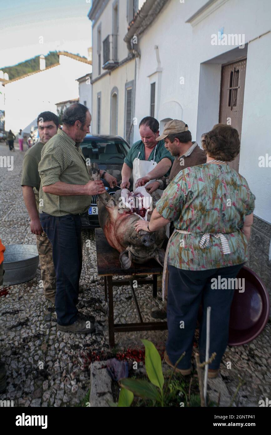 La Matanza: a traditional Spanish pig slaughter observed in Alajar village. Stock Photo