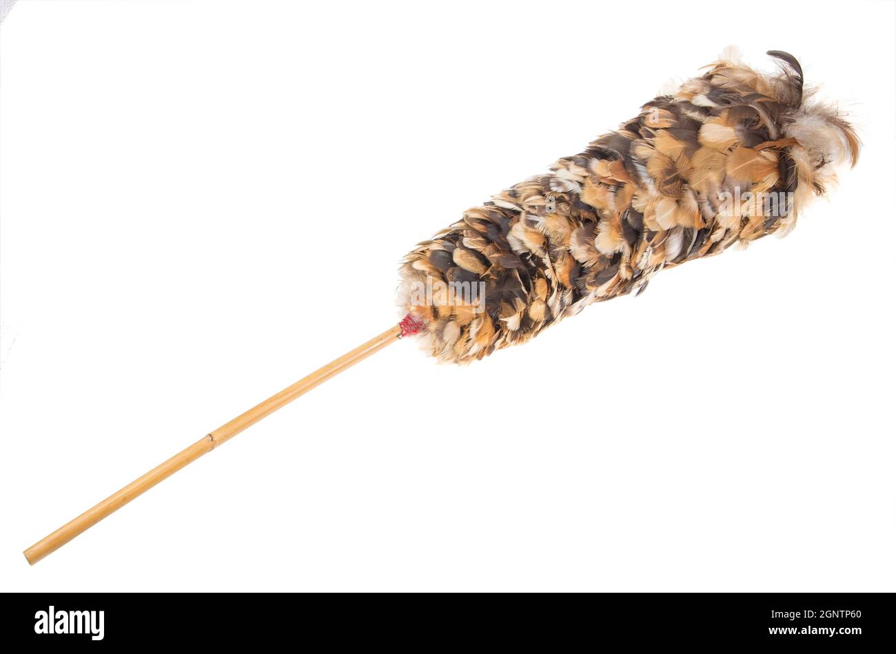 Traditional feather duster Stock Photo Alamy