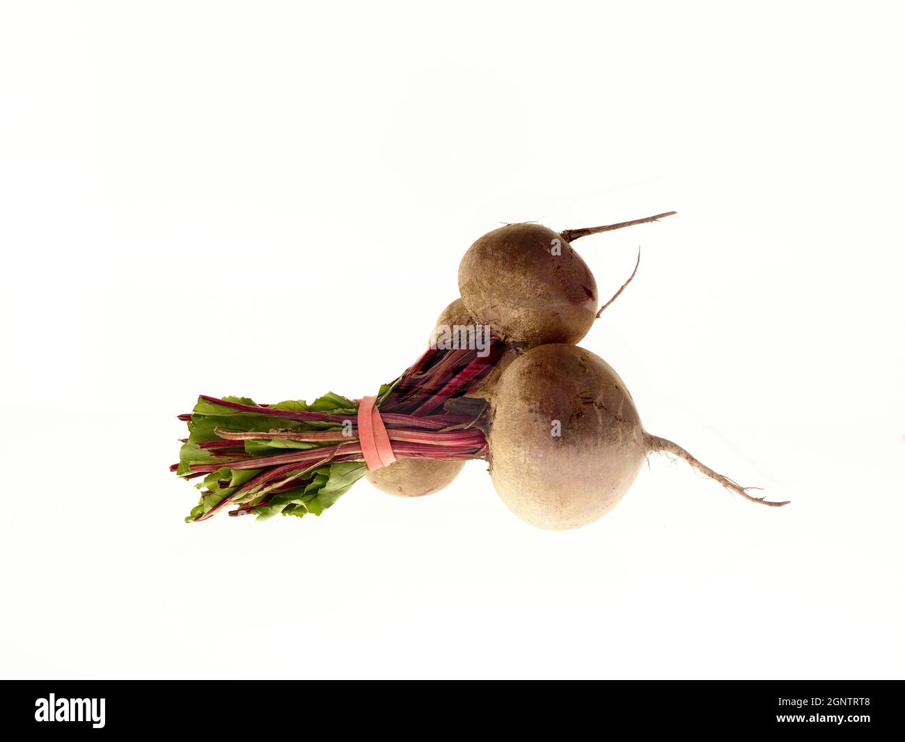 Close up still life of Beetroot against a plain background, high ...