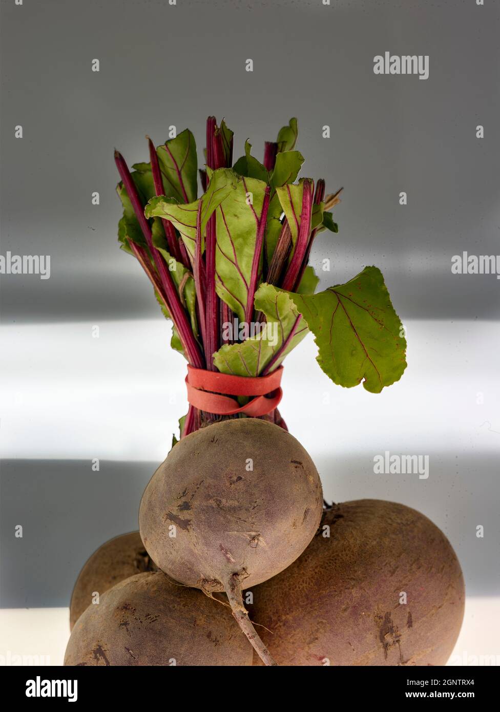 Close up still life of Beetroot against a plain background, high ...