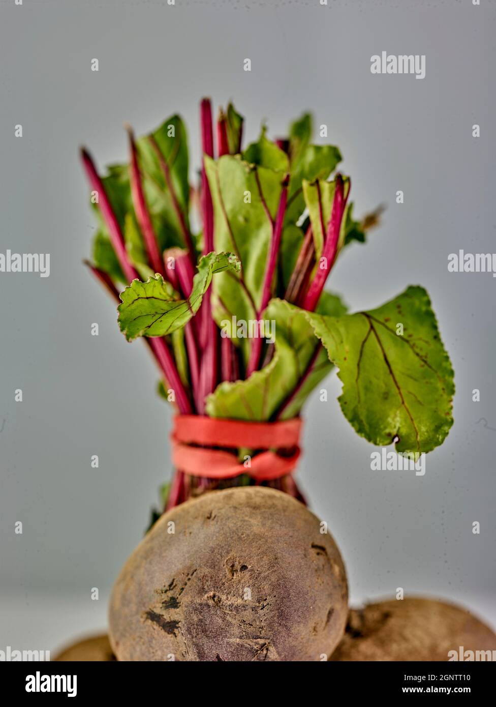 Close up still life of Beetroot against a plain background, high ...