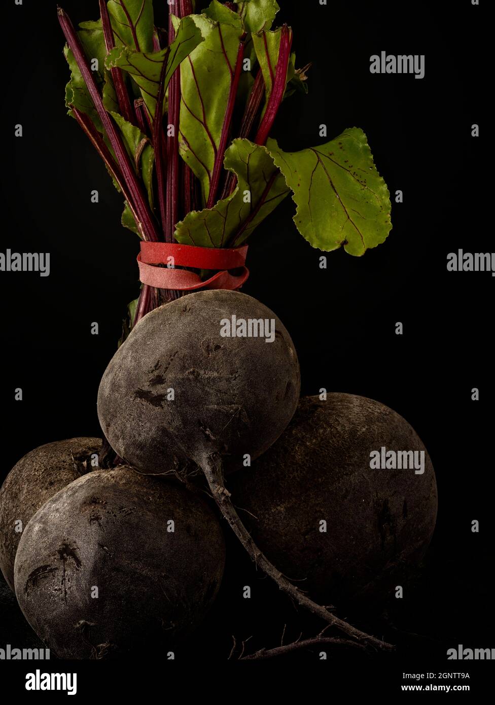 Close up still life of Beetroot against a plain background, high ...