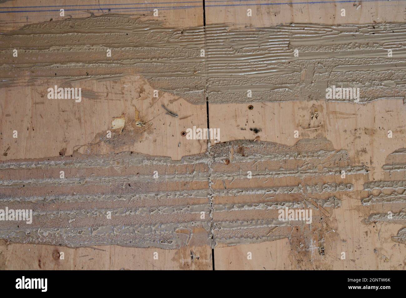 Two Lines of Flooring Glue on a Plywood Subfloor Stock Photo