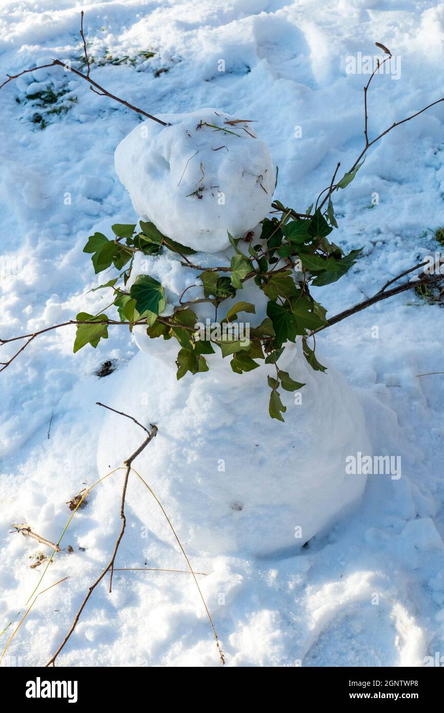 Lustiger Schneemann, Schneefrau mit einem Schal aus Efeu auf einer Wiese Stock Photo