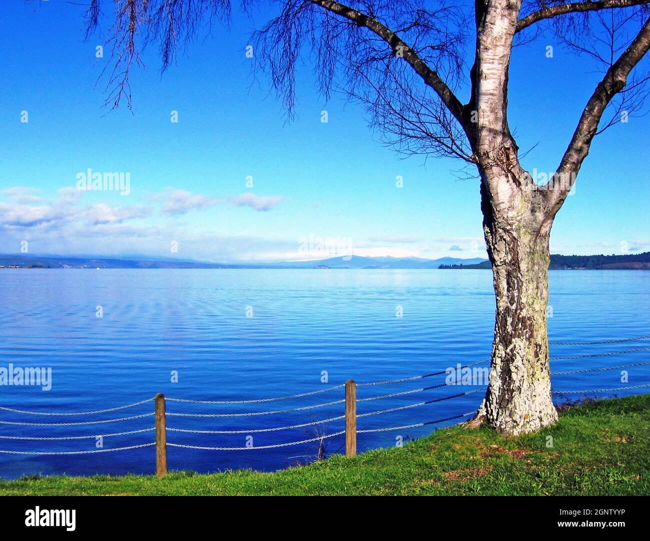 Winter along the shore of Lake Taupo in Taupo, New Zealand.  It is the largest lake by surface area in New Zealand.  The volcano is currently considered to be dormant rather than extinct because of moderate fumarole activity and hot springs along the shores of the lake. Stock Photo