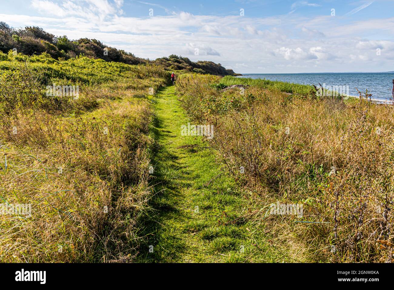 Hiking trail with the Sound of the Sea on the Archipelago path (Øhavsstien). About 15 kilometers, of the total 20 kilometers from Lohals to Tranekær run directly on the coast of Langeland, Denmark Stock Photo