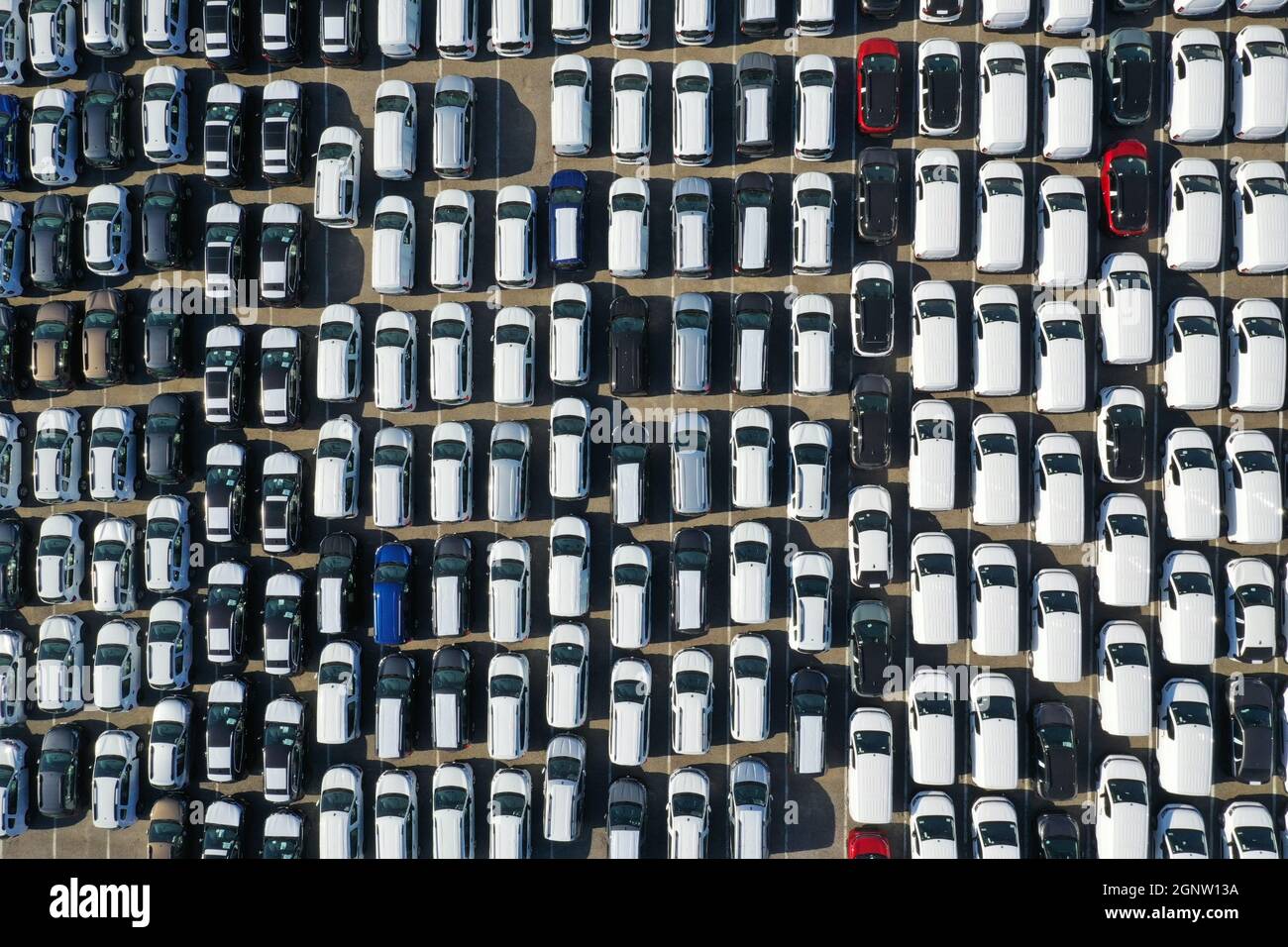 Aerial view from drone to automobile customs terminal. Large number of