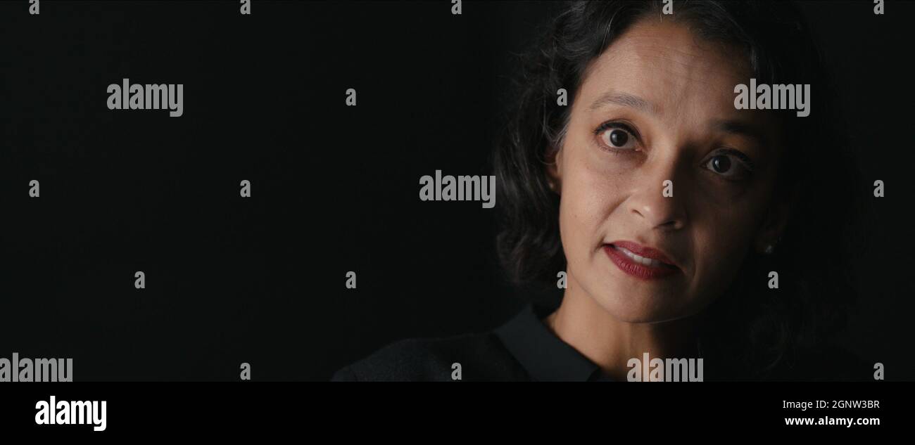 TURNING POINT 9/11 AND THE WAR ON TERROR, Hina Shamsi, Director of the