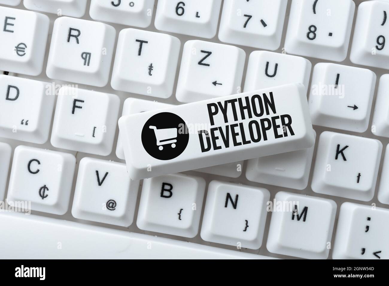 Sign displaying Python Developer. Word Written on responsible for writing serverside web application logic Internet Browsing And Online Research Study Stock Photo