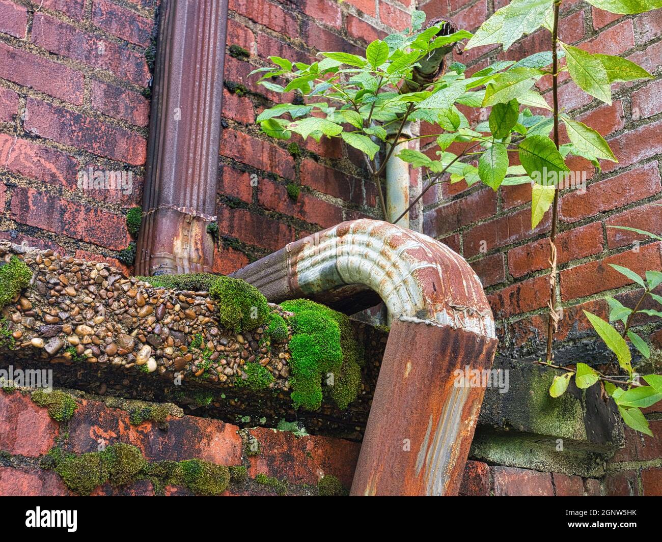 water down spout on abandoned building Stock Photo
