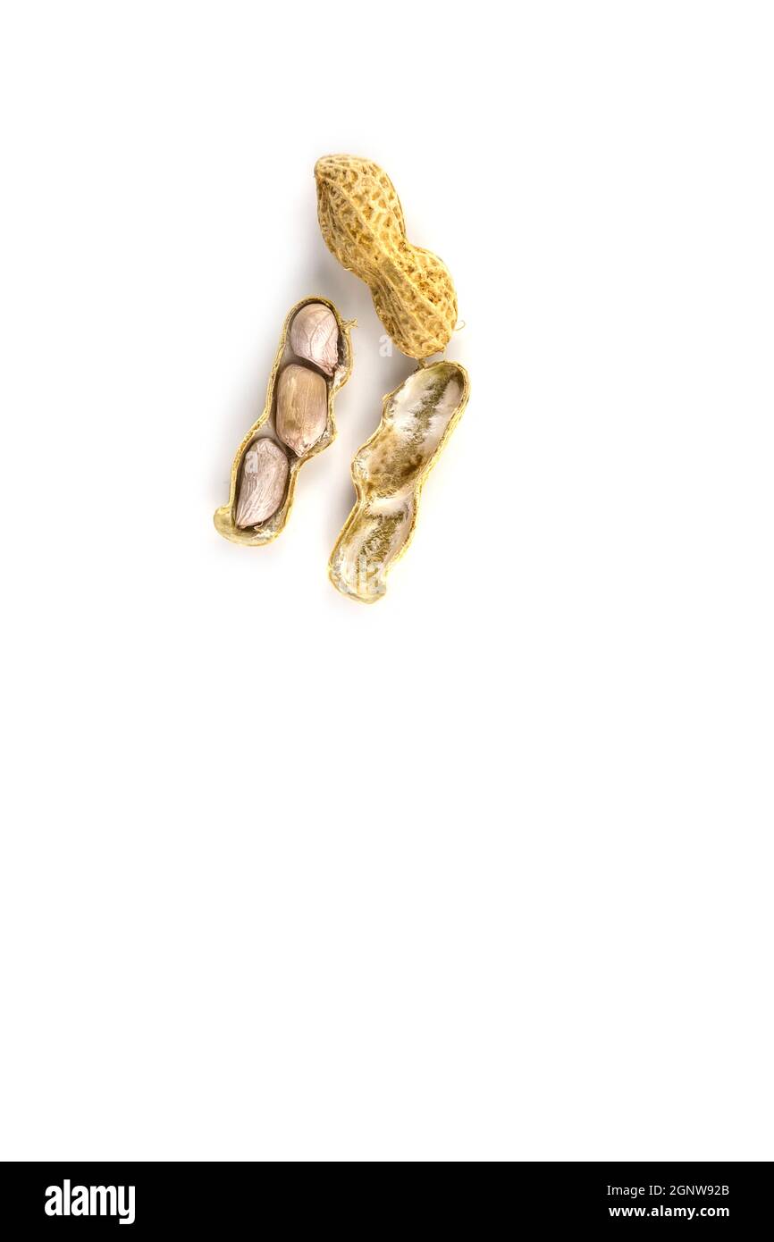 Boiled Peanuts on white background Stock Photo
