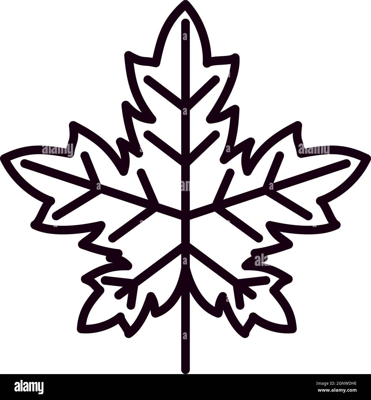 maple leaf icon on white background Stock Vector Image & Art - Alamy