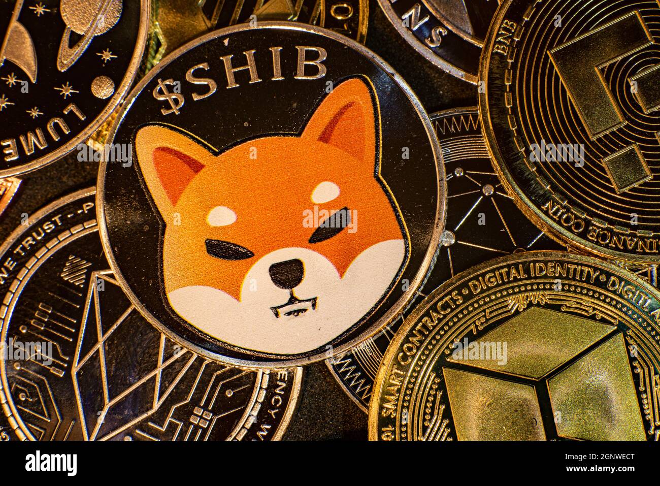 Horizontal view of cryptocurrency tokens, including Bitcoin, dogecoin, and ethererum seen from above on a black background. High quality photo Stock Photo