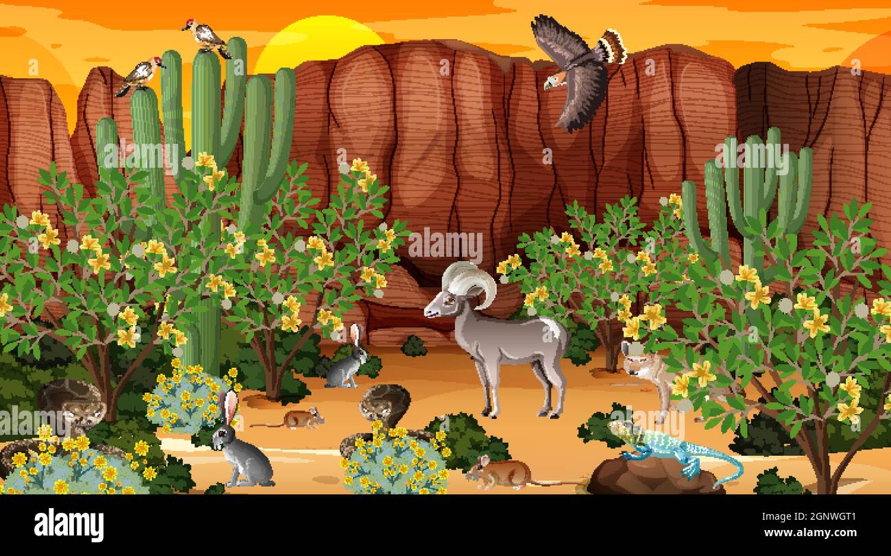 Desert forest landscape at sunset time scene with wild animals ...