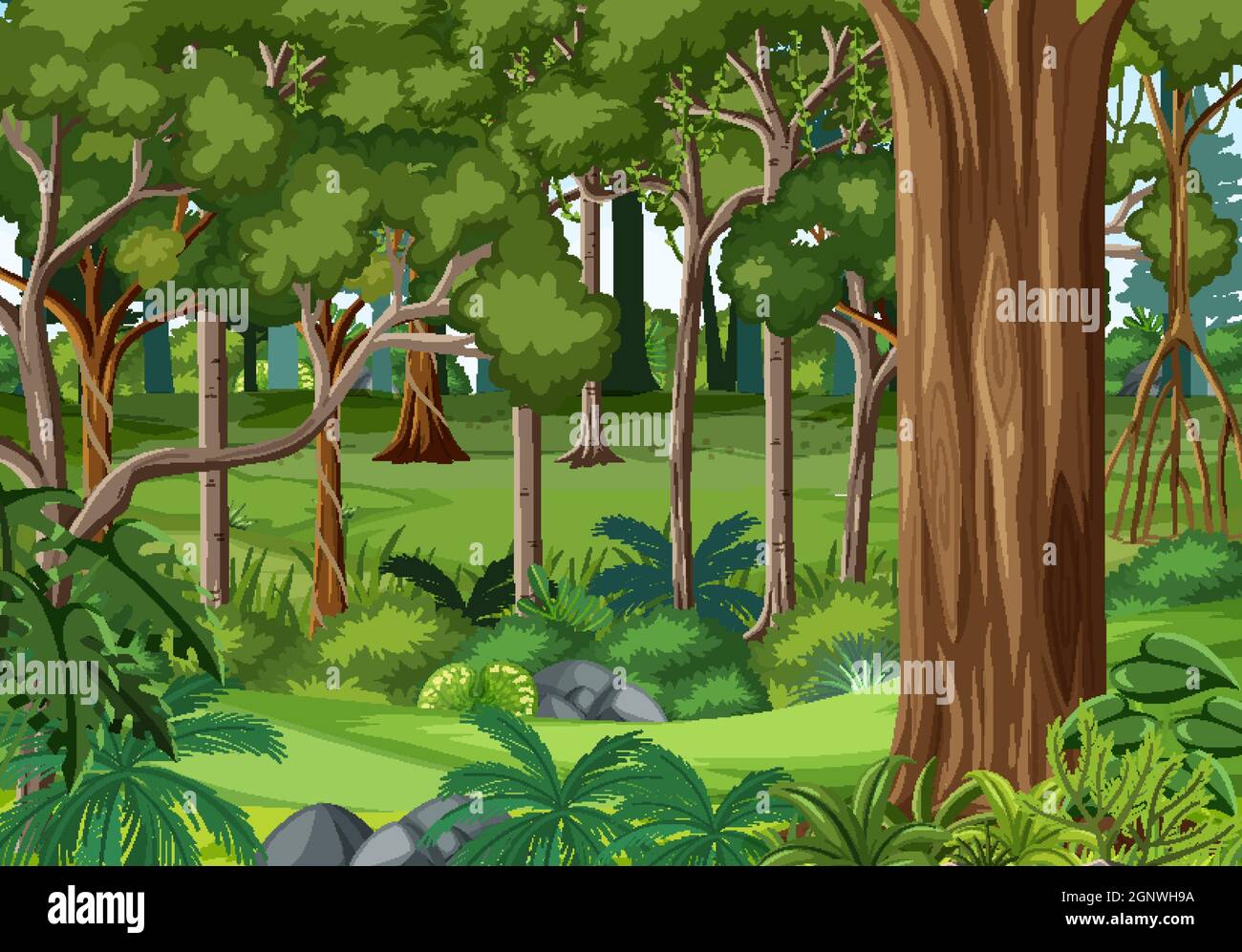 Nature forest landscape background illustration Stock Vector Image ...