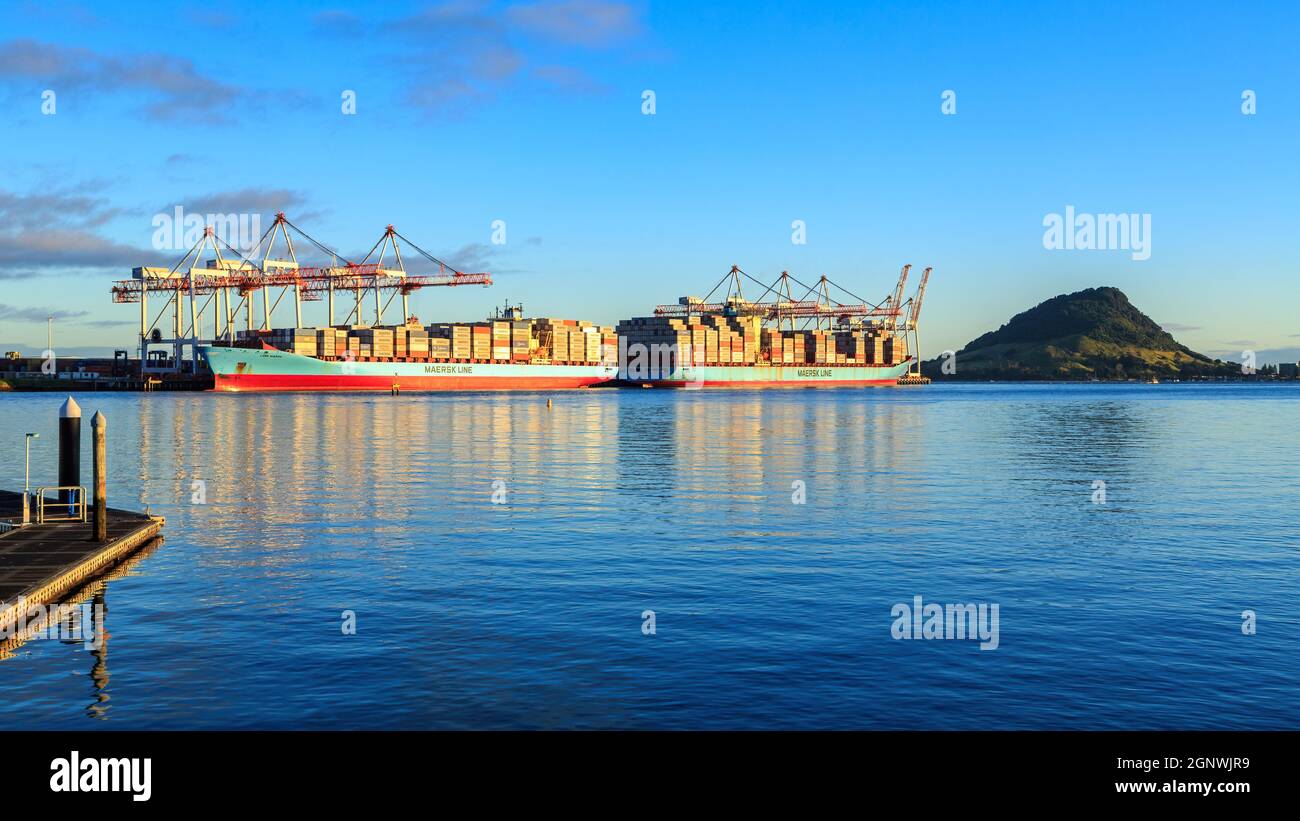 The Port of Tauranga, New Zealand. Two cargo vessels are taking on containers. To the right is Mount Maunganui Stock Photo