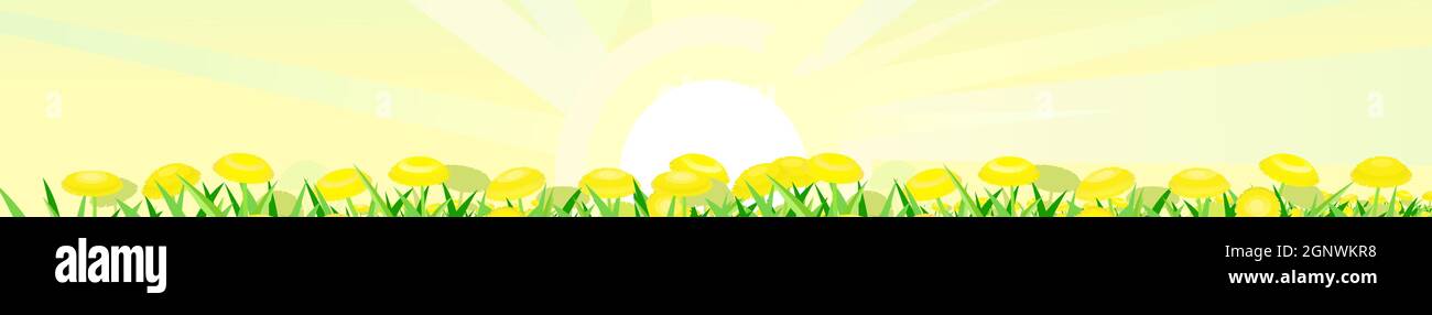 Summer meadow with yellow dandelions. Clear morning sky with sunrays. Horizontal composition. Close-up side view. Rural cute grassy landscape. Vector. Stock Vector