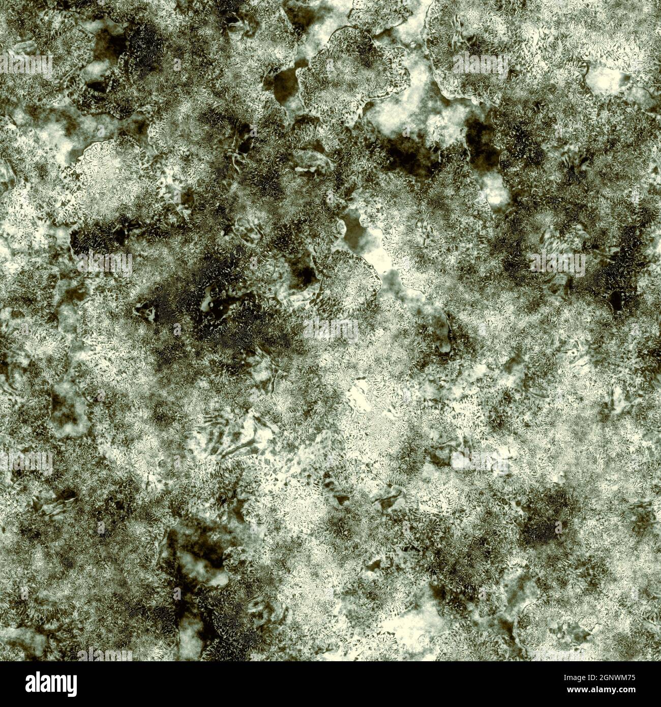 Crusty greenie dirty grungy zombie corpse skin seamless texture Stock Photo