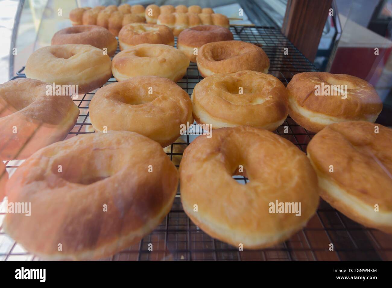 fresh uncoated donuts in display tray Stock Photo