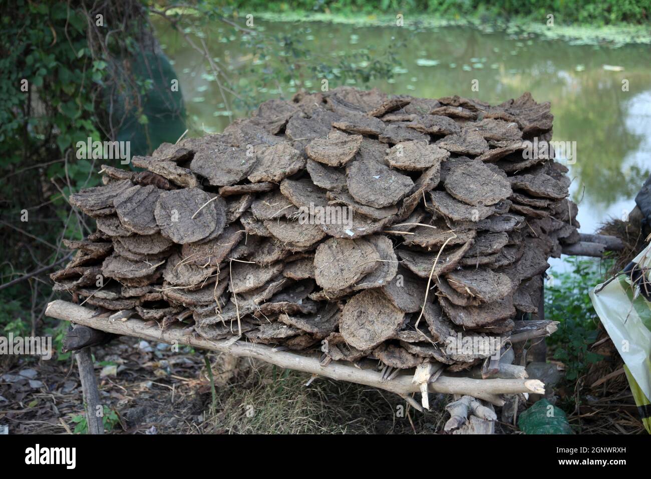 Dry cow dung, India Stock Photo
