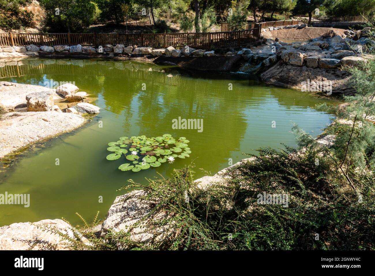 El Recorral recreative park area near Rojales, Quesada in Spain Stock