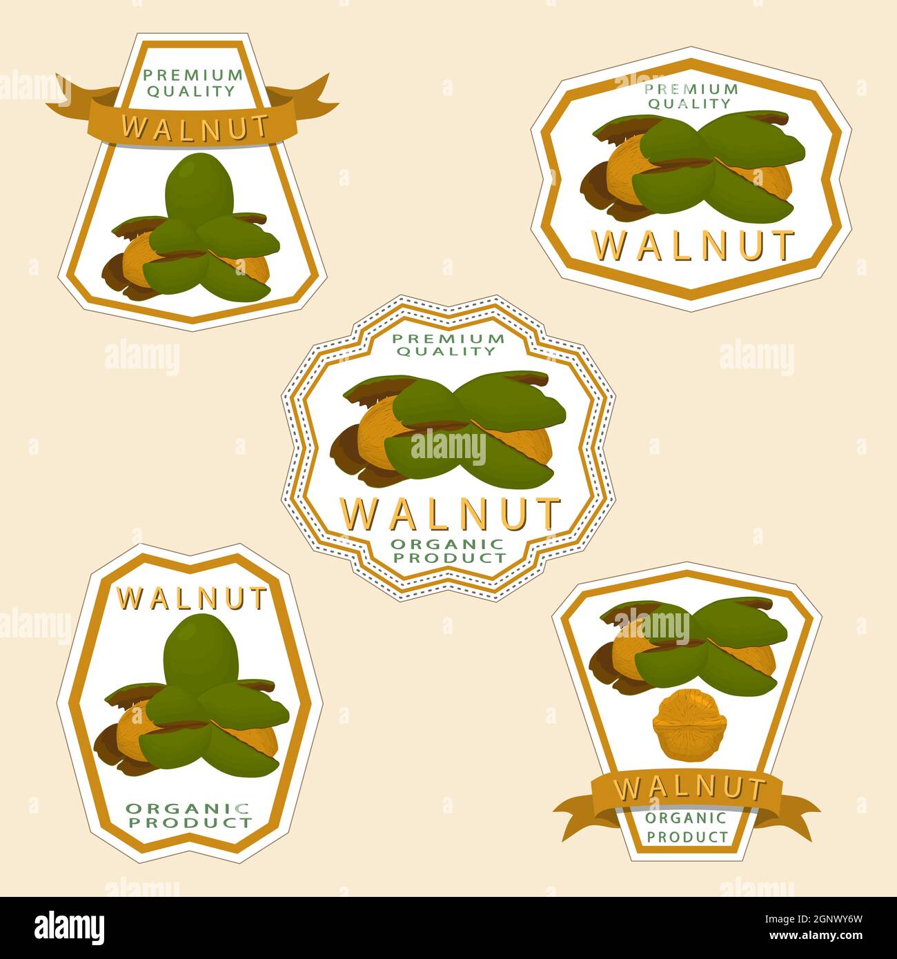 Open nutshell Stock Vector Images - Alamy