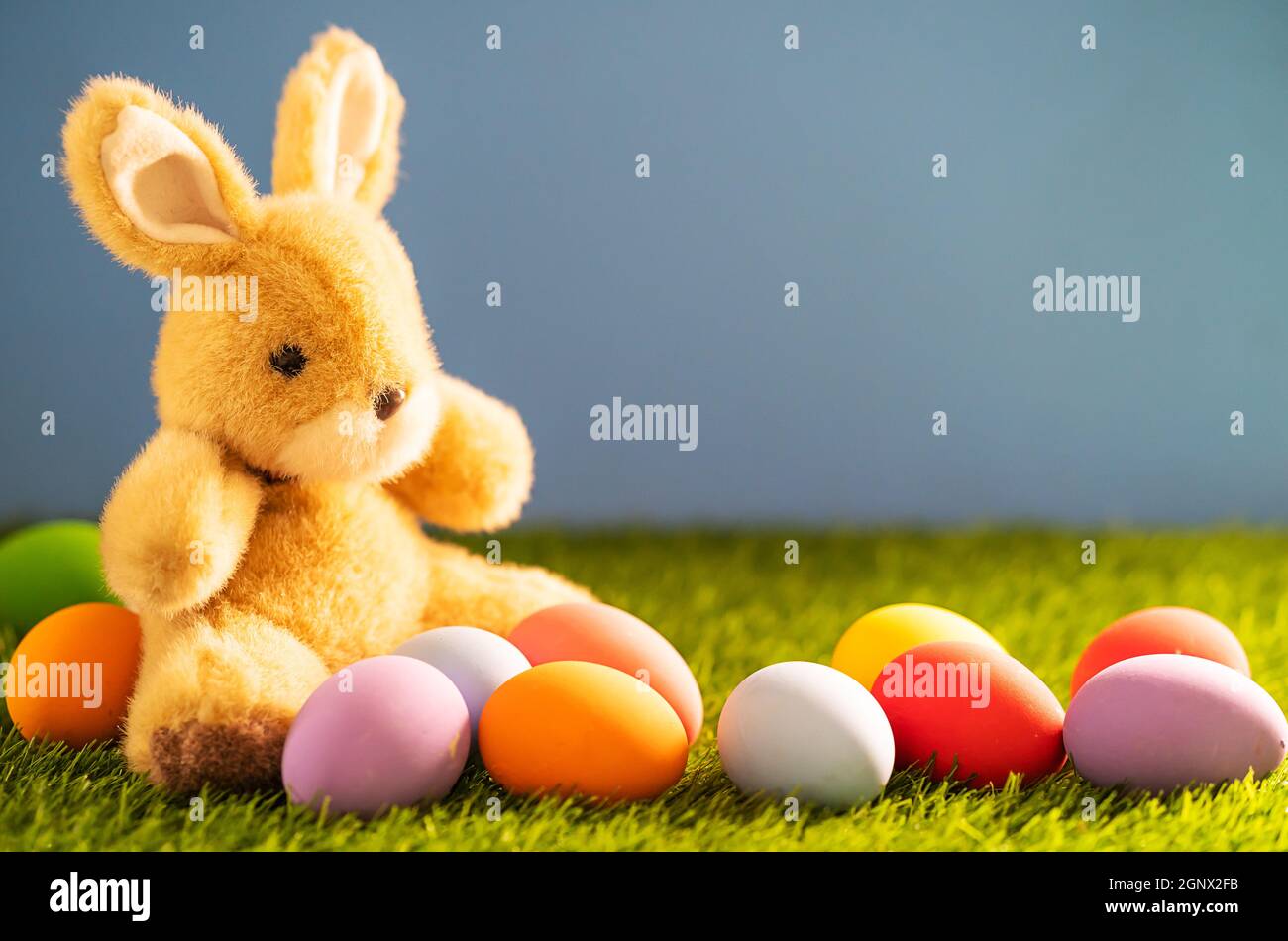 Colorful easter eggs and bunny on grass with blue background Stock ...