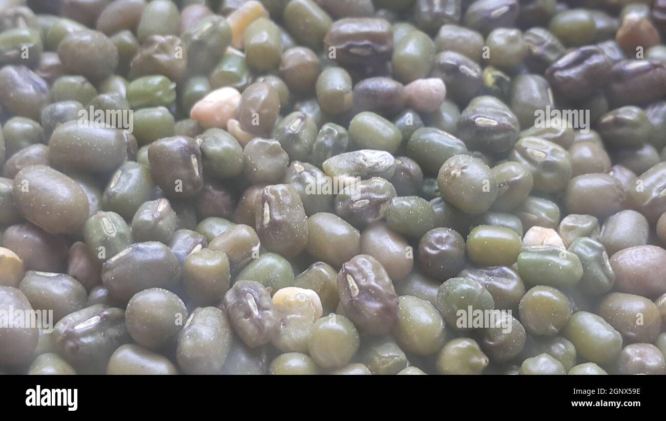 Closeup view of green whole Mung bean or green gram, maash, or moong. It is used as an ingredient in both savory and sweet dishes. Stock Photo