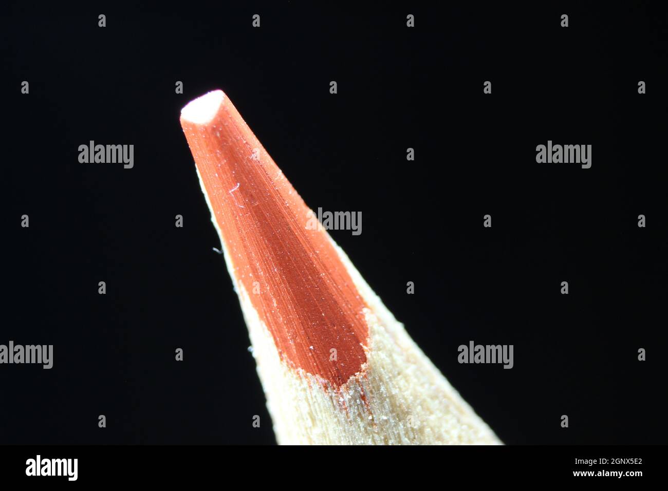 close up of sharpened pencil.Macro view of the tip of the pencil on a black background. Stock Photo