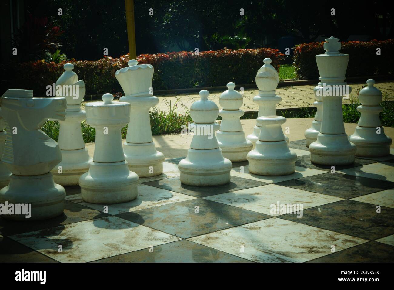 White chess figures installation in a garde Stock Photo - Alamy