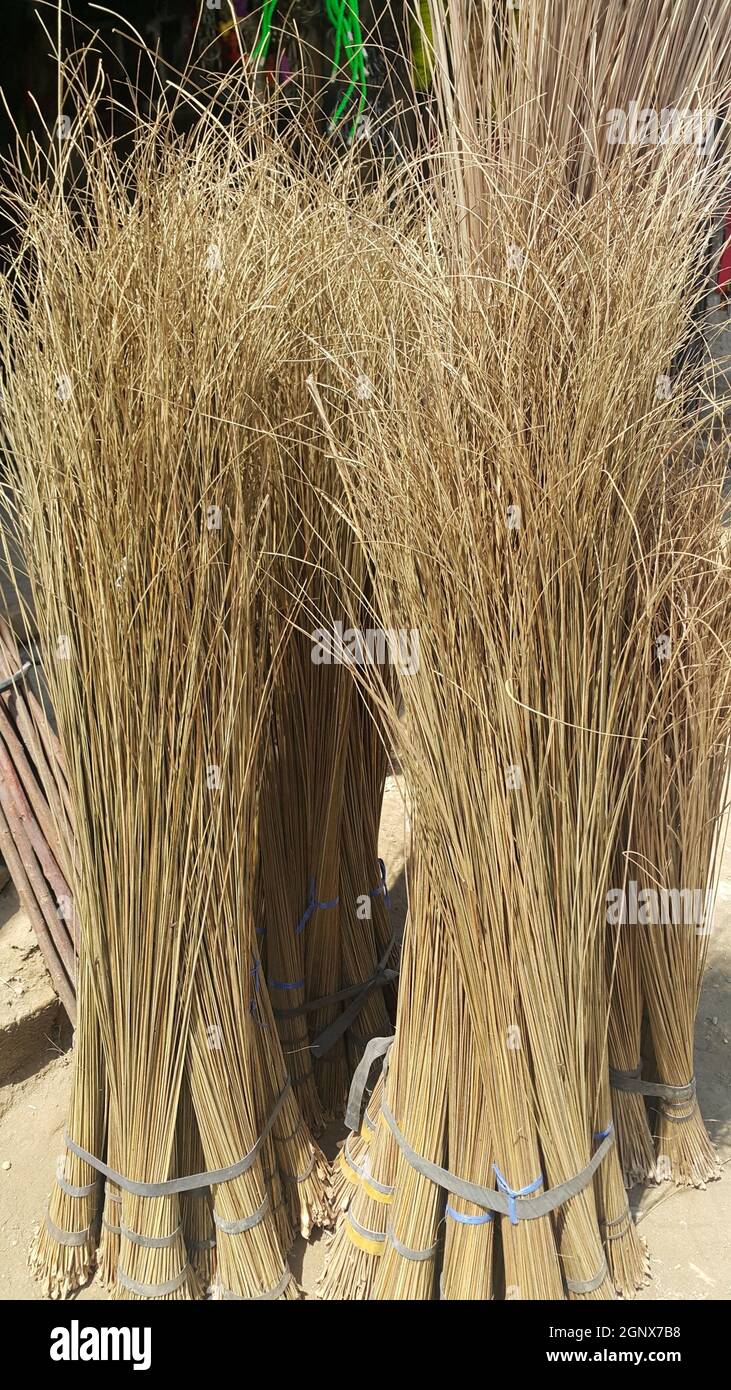Bunch of brown colored straw broom. Old style broom used for