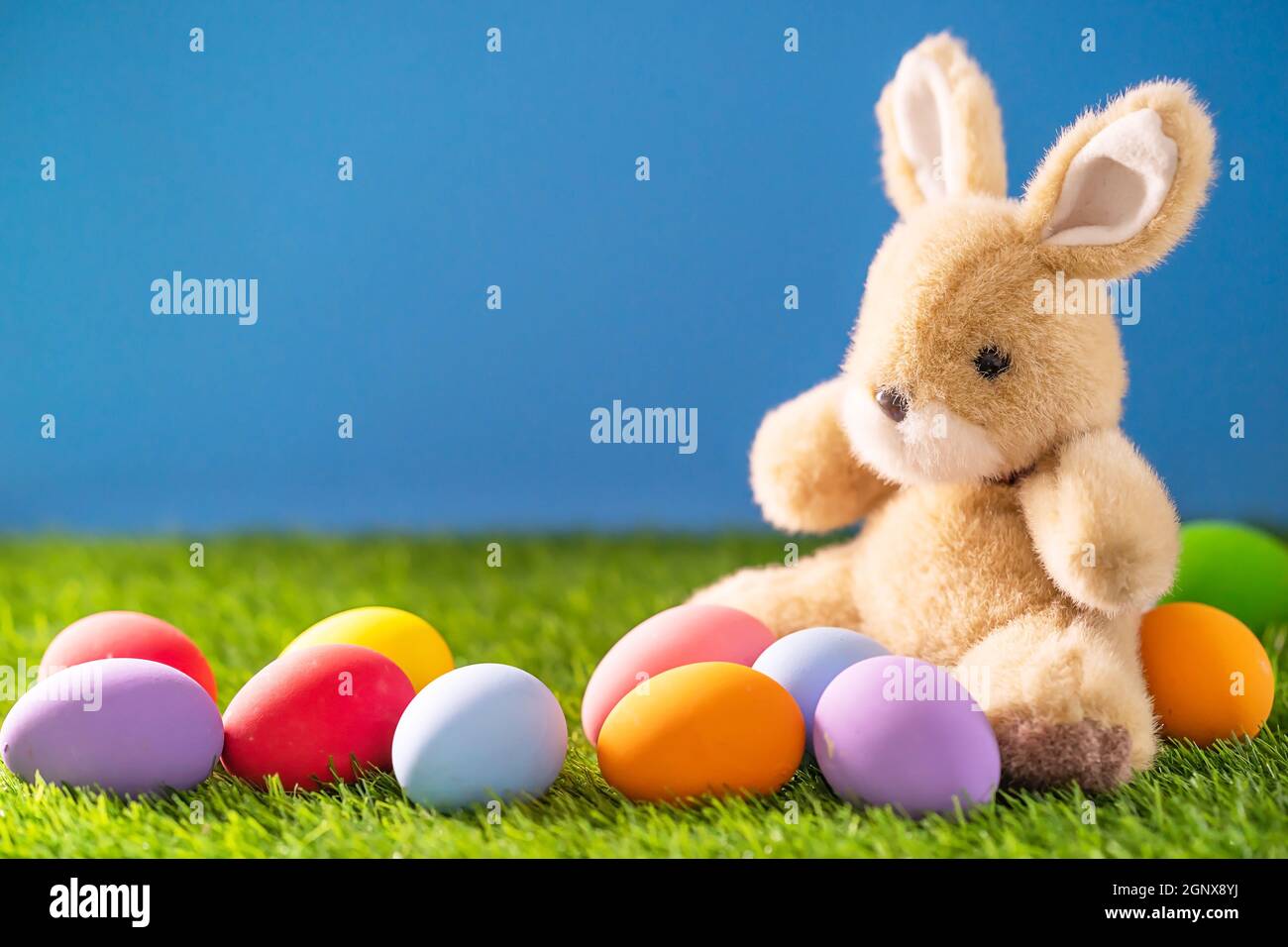 Colorful easter eggs and bunny on grass with blue background Stock ...