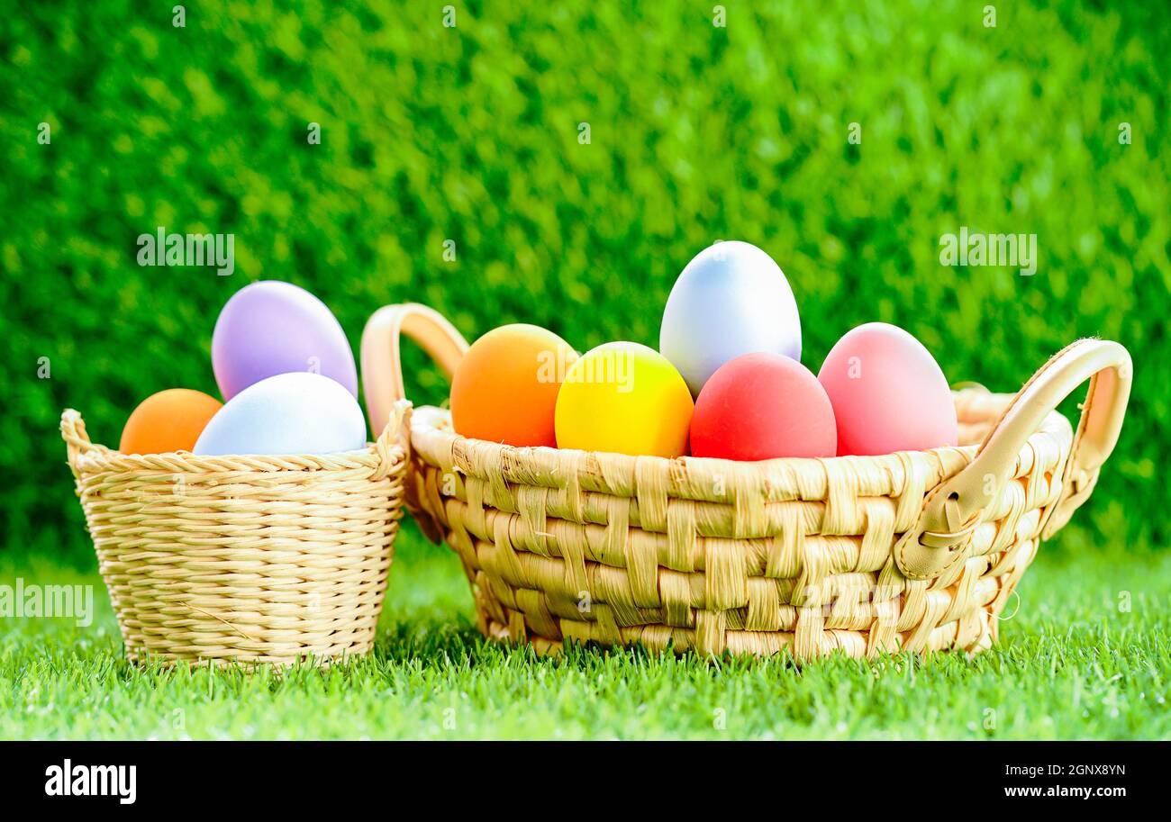 Colorful easter eggs in the basket on green grass background with copy ...