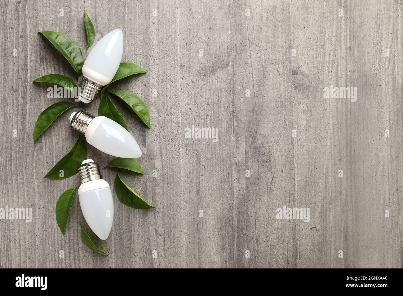 Energy Saving Bulbs With Leaves On Gray Textured Background Stock Photo energy-saving-bulbs-with-leaves-on-gray-textured-background-stock-photo