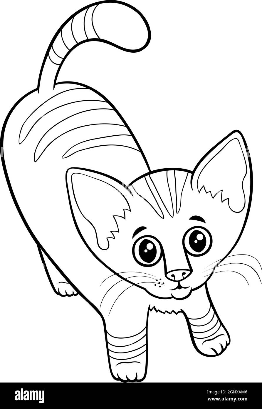 cute tabby kitten cartoon animal character coloring book page Stock Vector